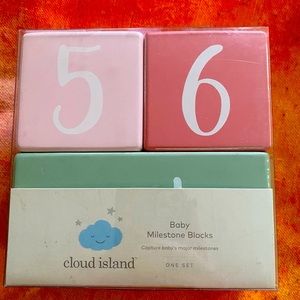 Target Cloud Island Baby Milestone Blocks